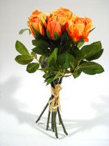 Rosen orange (9St.)