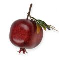 Granatapfel mit Blatt 9cm