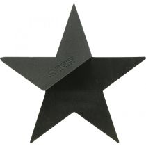 Kategorie Steckschaum Schwarz