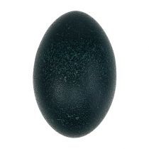 Kategorie Eier & Ostereier