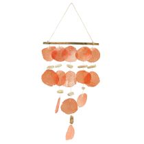 Kategorie Muschel Seedekoration