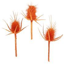 Kategorie Äste, Stäbe & Zweige