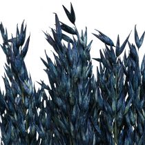 Trockenblumen, Hafer getrocknetes Getreide Deko Blau  68cm 230g