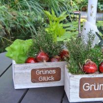 Artikel Pflanzgefäß “Grünes Glück”, Gartendeko, Holzdeko zum Bepflanzen Weiß gewaschen, Edelrost L35cm H12cm