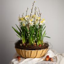 Artikel Pflanzgefäß rund, Blumendeko, Kunststoffschale, Gefäß für Gestecke Grün, Weiß meliert H8,5cm Ø30cm