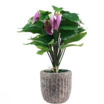 Artikel Kunstblumen Künstliche Anthurien Kunstpflanzen im Topf 41cm