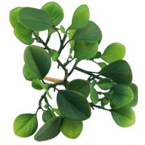Artikel Künstliche Grünpflanze Sukkulente künstlich Grün H14cm