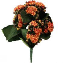 Artikel Flammendes Käthchen Kalanchoe künstlich Orange 24cm