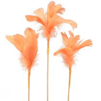 Artikel Deko Federn Orange Vogelfedern am Stab 36cm 12 St