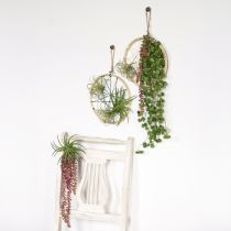 Artikel Sedum 'Rubin' Kunst-Hängepflanze – Pflegeleicht & Dekorativ, Attraktive Sukkulente 43cm 3er-Set