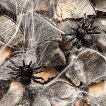 Artikel Spinne, Fledermaus Figuren Schwarz 10cm, 14cm 3 St