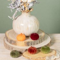Artikel Mini Kürbis Herbstdeko beflockt Ø4cm 24 Stk für Floristen