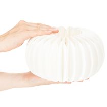 Artikel Wabenpapier Kürbis Rund Weiß 24 cm mit Vertiefung 4 Stück