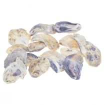Austernschalen Deko Muscheln Dekoration Natur 2-6cm 250g