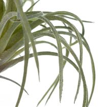 Artikel Tillandsia Sukkulente künstliche Grünpflanzen 13cm