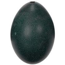 Artikel Emuei Dekoration für festliche Wohnraumdekoration und stilvolle Akzente zu Ostern