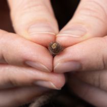 Artikel Handgemachte Wollkordel Braun 55m Dekoschnur für Floristik und Bastelideen