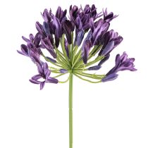 Artikel Agapanthus Kunstblumen Lila 75cm – Dekoblumen für Floristen, 2 Stk