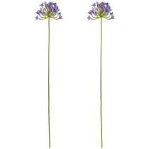 Artikel Agapanthus Schmucklilie Kunstblumen Lila 75cm 2er-Set Dekoration