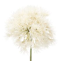 Artikel Elegante künstliche Allium-Deko-Blume in Weiß für Innenräume 68cm