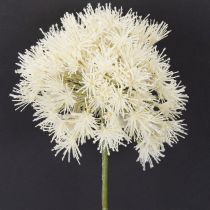 Artikel Elegante künstliche Allium-Deko-Blume in Weiß für Innenräume 68cm