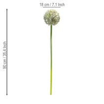 Artikel Hochwertiger künstlicher Blütenzweig Allium in Weiß, naturgetreue Optik, 90 cm
