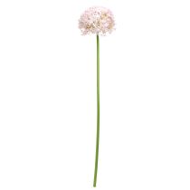Artikel Allium Zierlauch Kunstblume rosa Blüte Ø18cm L90cm Dekoration