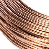 Artikel Aluminiumdraht 2 mm Braun 60 m Rolle 500 g für Floristik und Dekoration