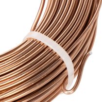 Artikel Aluminiumdraht 2 mm Braun 60 m Rolle 500 g für Floristik und Dekoration