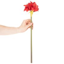 Artikel Kunstblume Amaryllis Rot mit Stiel 50 cm
