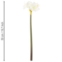 Artikel Kunstblume Amaryllis Weiß mit Stiel 50 cm für Advent und Weihnachten