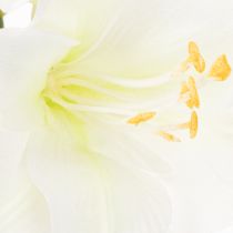 Artikel Kunstblume Amaryllis Weiß mit Stiel 50 cm für Advent und Weihnachten