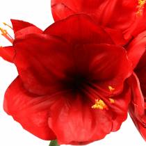 Artikel Amaryllis Rot 75cm