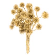 Artikel Künstlicher Zweig Amberfrucht Gold 26cm 6er Bund Kunststoff Innenbereich