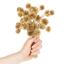 Artikel Künstlicher Zweig Amberfrucht Gold 26cm 6er Bund Kunststoff Innenbereich