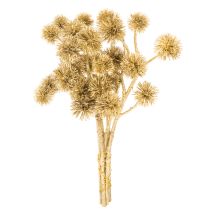 Artikel Künstlicher Zweig Amberfrucht Gold 26cm 6er Bund Kunststoff Innenbereich