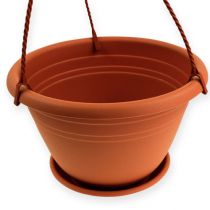 Artikel Blumenampel Galicia Ø30cm Terrakotta