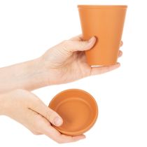 Artikel Aquasafe Wasserspeicher mit Insektentränke 12 cm 3er-Set