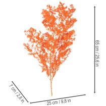 Artikel Trockenblumen Asparagus-Zweig gefärbt orange 65cm 80g Innenbereich