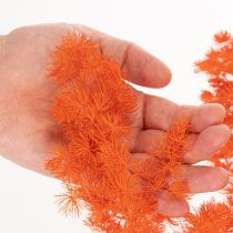 Artikel Trockenblumen Asparagus-Zweig gefärbt orange 65cm 80g Innenbereich