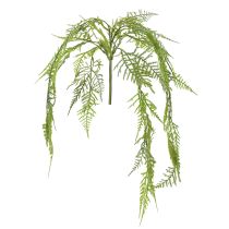 Artikel Künstliche Hängepflanze Asparagus 75 cm für Dekoration und floristische Arrangements