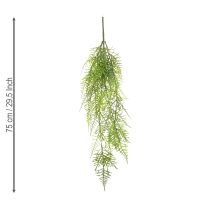 Artikel Künstliche Hängepflanze Asparagus 75 cm für Dekoration und floristische Arrangements