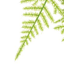Artikel Künstliche Hängepflanze Asparagus 75 cm für Dekoration und floristische Arrangements