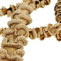 Banana Stem gebleicht 20St