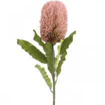 Kunstblume Banksia Rosa Herbstdeko Gedenkfloristik 64cm