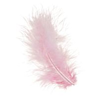 Artikel Bastelfedern Rosa Deko Vogelfedern Frühling Osterdeko Kreativ 5–10cm 20g