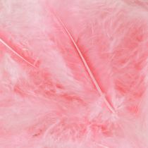 Artikel Bastelfedern Rosa Deko Vogelfedern Frühling Osterdeko Kreativ 5–10cm 20g