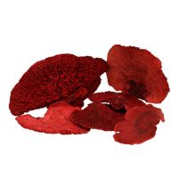 Artikel Baumschwamm Rot 1kg