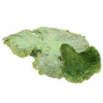 Artikel Baumschwamm Grün weiß gewaschen 1kg