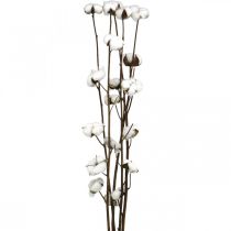 Artikel Baumwollzweig, Baumwolle Dekozweig, Echte Baumwolle L80cm 5 St